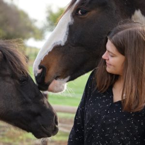 Webinar - Enrichment für Pferde