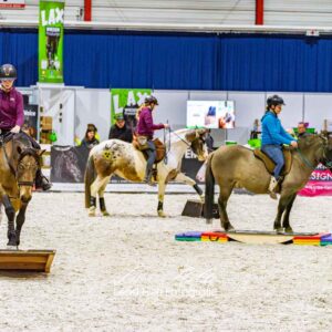 XXL-Pferdewippe (150cm)