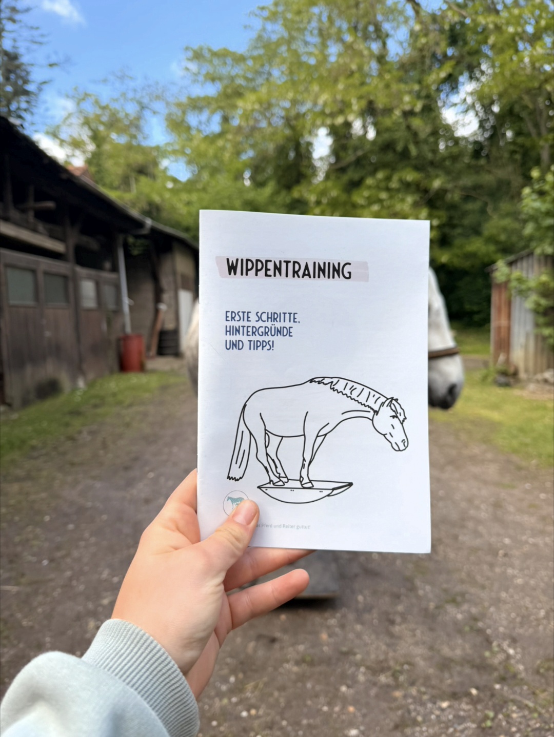Pferdewippe – Bild 4