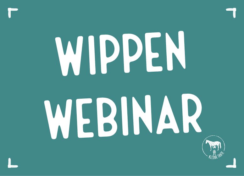 Webinar – Training mit der Pferdewippe Webinar – Training mit der Pferdewippe